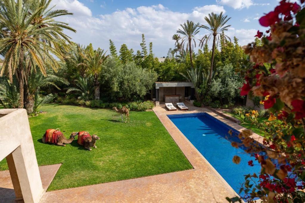 Villa Sahar Palmeraie Avec Piscine Chauffee ! Marrakesh Exterior foto